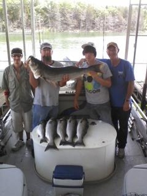 Nice Striped Bass